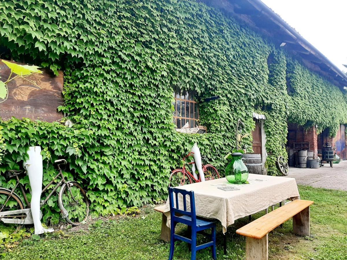 Villa Casa Delle Foglie Sussurranti à Asti Extérieur photo