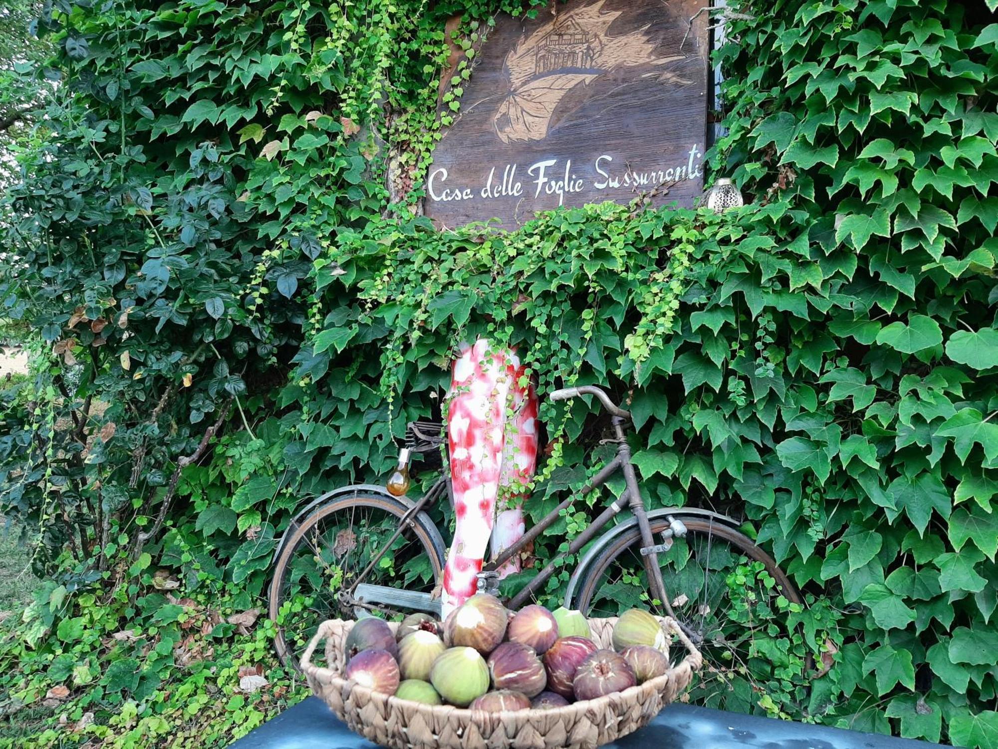 Villa Casa Delle Foglie Sussurranti à Asti Extérieur photo
